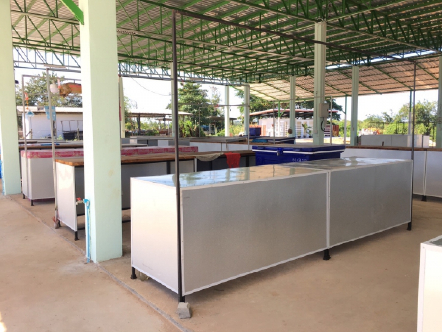 ตลาดทัพไทย