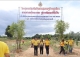 "ร่วมโครงการส่งเสริมกิจกรรมเศรษฐกิจพอเพียงตามศาสตร์พระราชา สู่การพัฒนาที่ยั่งยืน เนื่องในโอกาสมหามงคลเฉลิมพระชนมพรรษา 6 รอบ 72 พรรษา"